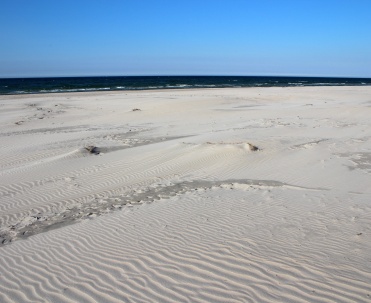 Plaża Dębki &ndash; szerokie wybrzeże otoczone pięknymi wydmami